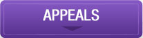 Appeals Areas Of Practice